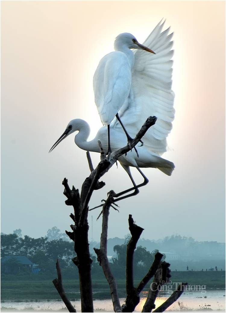 Du lịch xanh