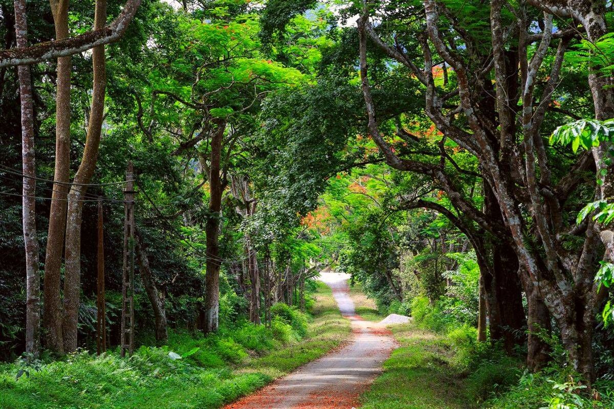 trai-nghiem-thu-vi-khi-tham-quan-vuon-quoc-gia-cuc-phuong